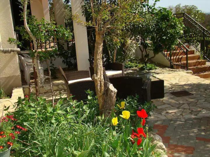 Apartments Davorka Šimuni Екстериор снимка